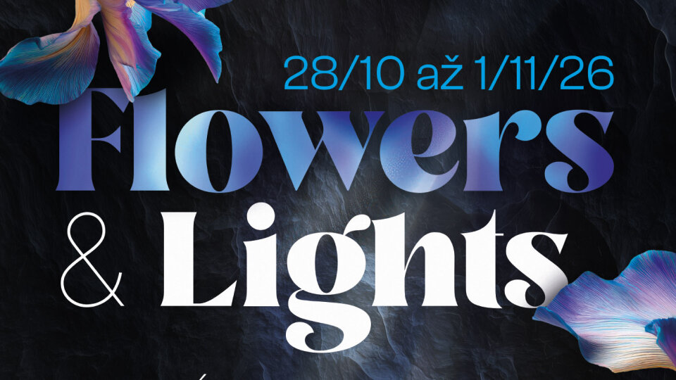 Flowers & Lights